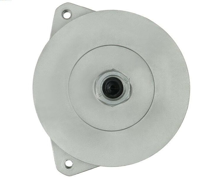 Alternator 10.223 6.9  10.223 LAEC 6.9  10.223 LC 6.9  10.223 LK 6.9  10.223 LLC 6.9 